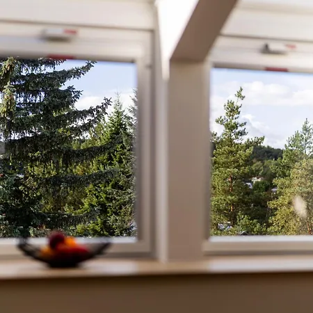 Embassy 303 * Vilnius