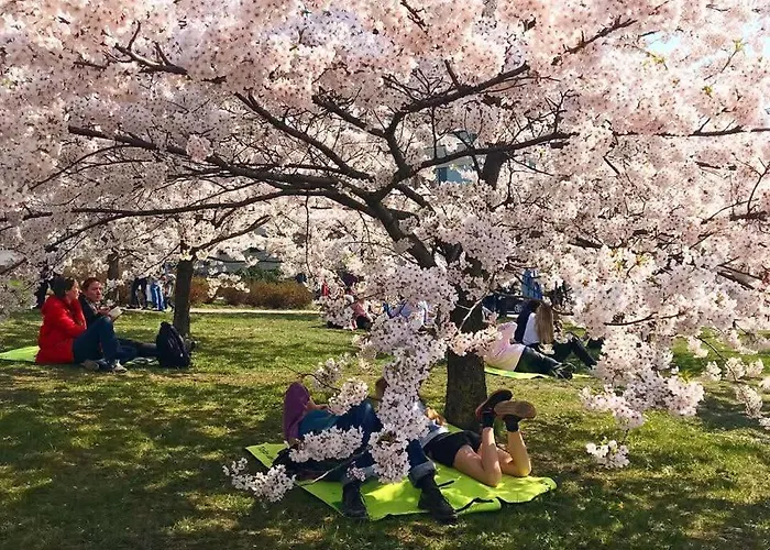 Embassy 303 Apartamento Vilna