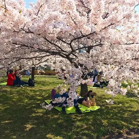 Embassy 303 公寓 维尔纽斯